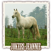 Jokers Jeannie