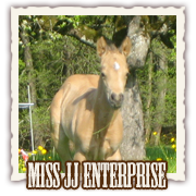 Miss JJ Enterprise