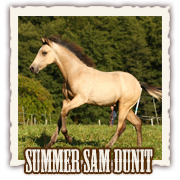 Summer Sam Dunit